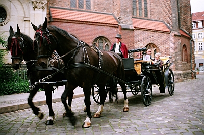 Kutsche an der Nikolaikirche